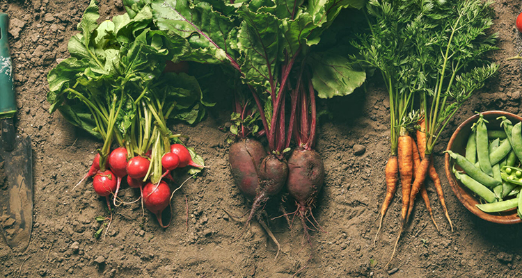 Produse agricole