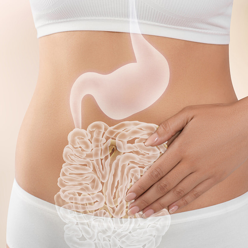 Centrifugă la temperatură joasă pentru produse liofilizate pentru sănătatea gastrointestinală